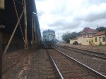 RUMO 9859